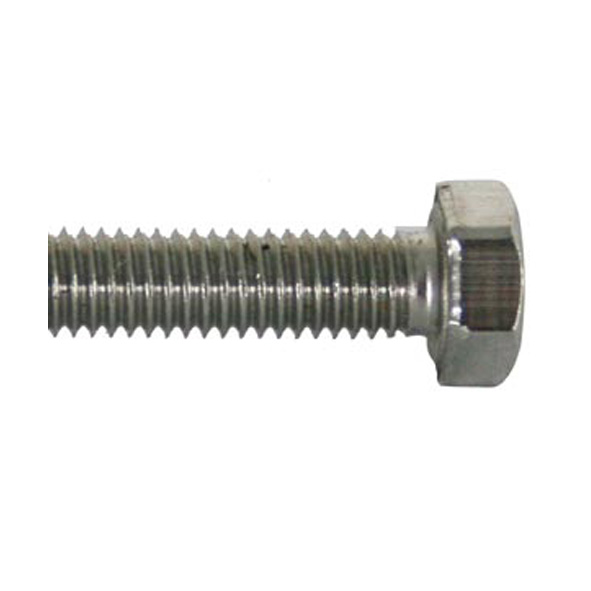 Bout zeskante kop M5x20 RVS