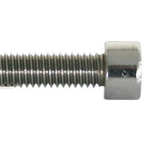 Inbusbout M6x30 RVS