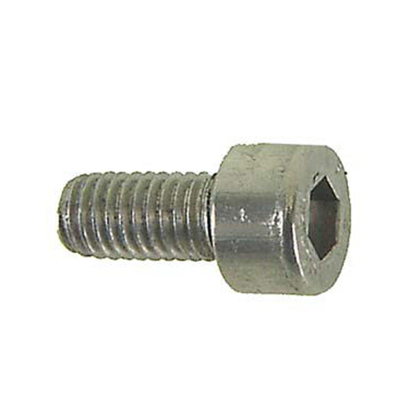 Inbusbout M5x16 RVS
