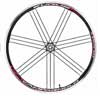 Campagnolo Wielen