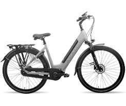 Bici Elettrica Avalon Donna