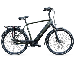 Bici Elettrica Avalon Uomo