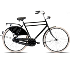 Bici per Uomo Avalon