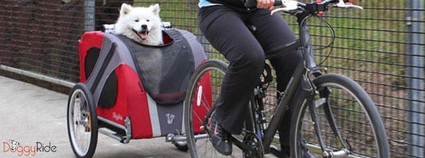 DoggyRide Cykel Hundkärra