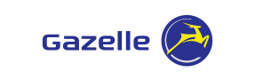 Gazelle E-Bike Foutcodes