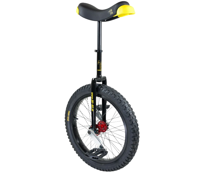 Unicycle