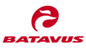 Batavus E-Bike Parts