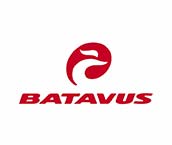 Batavus自行车零件