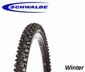 Schwalbe冬季轮胎