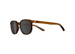 Alpina Dimont Cycling Glasses Brown - Brown