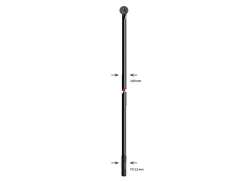 Alpina 辐条 14 x 168mm 不锈钢 - 黑色 - (100)