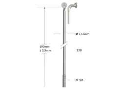 Alpina 스포크 12 x 160mm J-벤딩 - 실버 (144)