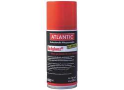 Atlantic 洗剤 Radglanz スプレー 缶 150ml