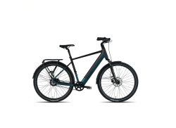 Avalon E-Flow 男性 28" 54cm 504Wh - ガソリン/ブラック Mart