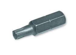 Berner Torx Bit TX40 1/4 - Grau