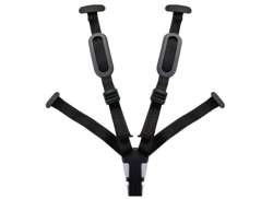 Bobike Cinto Para. Evolve - Preto