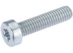 Bosch Powerpakke Stik Side Torx Bolt M5 x 20mm - Sølv