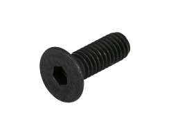 Bosch Șurub De Montaj M4x10mm Pentru. Cablu Protecție Husă Negru