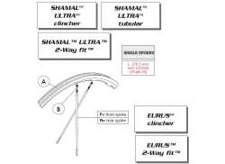 Campagnolo Eurus/Shamal Kit De Raio Esquerdo Traseiro 2010 Preto