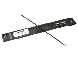 Campagnolo Eurus/Shamal Kit Raggio Destra Posteriore 2010 Nero