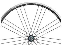 Campagnolo 辐条 套装 为. Calima WH-018CAC 后部 - 黑色