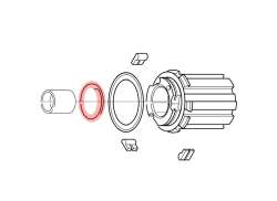 Campagnolo Molla Cricchetto FH-RE114 (5)