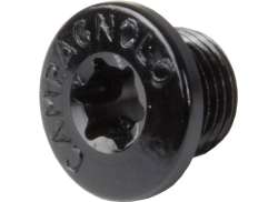 Campagnolo Pernos De Plato Juego FC-SR300 Torx - Negro