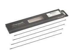 Campagnolo Repuesto Radio Juego Para. Bora 35 L - Negro