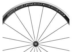 Campagnolo 스포크 세트 For. Scirocco WH-016SCDB - 블랙