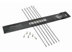 Campagnolo Speichenkit Bullet 50  Vorne/Hinter 500Bu