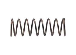 Campagnolo Sperrklinkenfeder t.b.v. Body FH-RE014 (1)