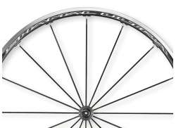 Campagnolo Spoke Set For. Shamal Ultra WH-016SHBD Front - Bl