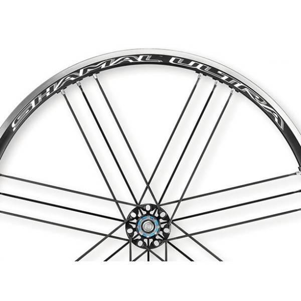 Buy Campagnolo Spoke Set For. Shamal Ultra WH-018SHBD Rear Bl at HBS