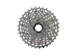 Campagnolo Super Record WRL Rataspakka 13V 10-33T - Hopea