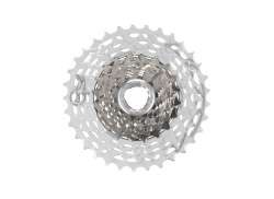 Campagnolo Super Record WRL 울트라 Casstte 13V 10-33T