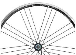 Campagnolo Szprycha Zestaw Dla. Calima WH-019CAC Tyl - Czarny