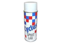 Cyclus Spraymaling 400cc 2013 Klar