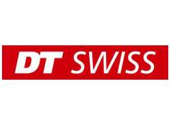 DT Swiss Champion Speiche 13x246mm Inox - Silber (100)