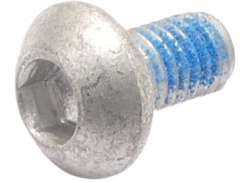 エッジ Remschijfbout M5x9mm