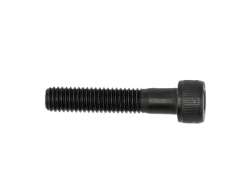 Enviolo Allen Bolt M8 1.25x40mm For. MA 12x148 Hub