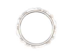 Enviolo Vrijloop Borgring tbv. Enviolo 9-Spline - Zilver