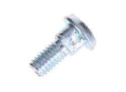 HBS Cable Clamp Bolt M6 x 20mm - Silver