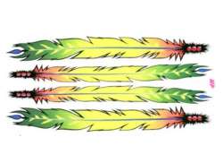 HBS Cykel Etiket Feathers - Multi Farve