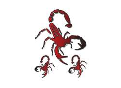 HBS Fiets Sticker Crawfish 10 X 12 cm