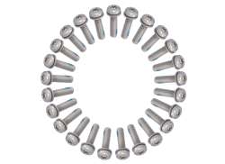 HBS Torx Bout M5X20 RVS Incl. Ring/Loctite - (25)