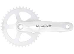 M-Wave Mighty Kampisarja 38 Hampaat 170mm - Hopea