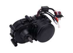 脉冲 发动机 36V 250W - 黑色