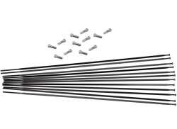 Mavic Eger S&aelig;t 296mm Lr For. 28&quot; Aksium Elite UST - Sort (12)