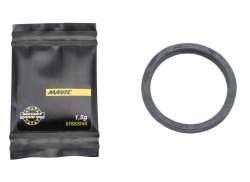 Mavic Joint Ring + Graisse Pour. Imm&eacute;diat Drive 360 Disque CL - Noir