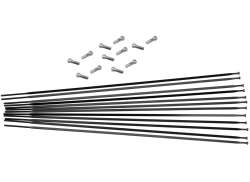 Mavic Pinna Sarja 296mm Lr -. 28" Aksium Elite UST - Musta (12)